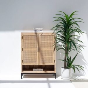 Wesley Two Doors Rattan Cabinet & Sideboard