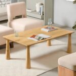 Mango Wood Coffee Table