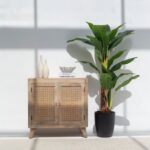 Lori Two Door Rattan Sideboard & Buffet