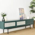 Cane Entertainment Unit - Image 5