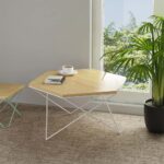 Rajastani Sei  Coffee Table