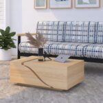 Indian Yugen Coffee Table