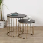 Nature Golden Coffee Table