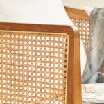 Antique Cane Sofa Chair Comfort - Image 4