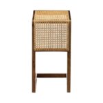 Wooden Modern Cane & Rattan Side Table - Image 4