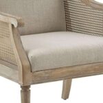 Modern Cane Sofa Chair - Image 2