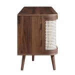 Antique Vintage Cane Handmade Wooden TV Stand - Image 5