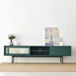 Cane Entertainment Unit