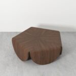 Indian Penta Brevis Coffee Table - Image 2