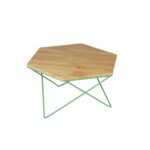 Rajastani Sei  Coffee Table - Image 7