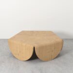 Indian Penta Brevis Coffee Table - Image 4