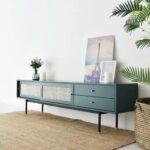 Cane Entertainment Unit - Image 2