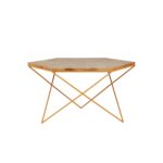 Rajastani Sei  Coffee Table - Image 4