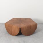 Indian Penta Brevis Coffee Table - Image 6