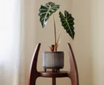 Natural Wood Plant Stand - Image 3